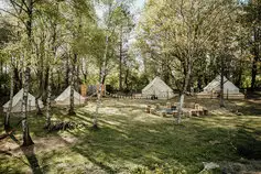Naturerlebnishof-Vulkaneifel-Glamping--Tiny-Haeuser-fuer-deine-Gruppe__t13165.webp